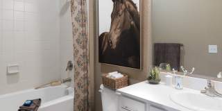 Silver Collection at The Park Gallery 14