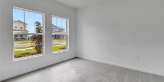 275 PUMA LOOP Gallery 5