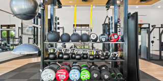 The Averly Collins Hill Gallery 33