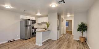 Tides on Palm Apartments Gallery 11
