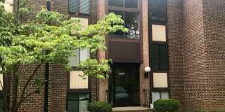 9707 KINGS CROWN Court Gallery 1
