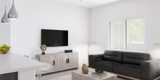 SW Gallery 4