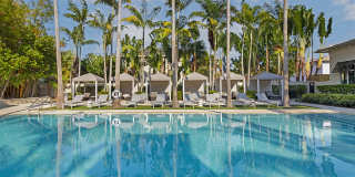 Bell Sunrise Bell Sunrise Gallery 11