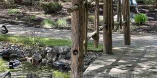 61301 Benham Road Gallery 7