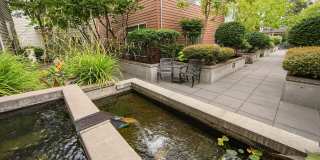 Broadway Place Gallery 7