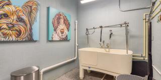 Triton Glen Gallery 32