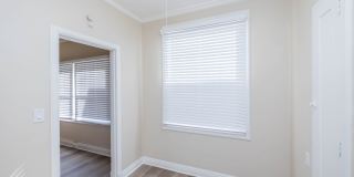 226 Athol Avenue Gallery 19