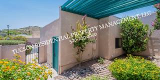 4950 N Valle Gallery 5