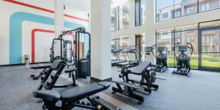 Presidium 183 Gallery 17