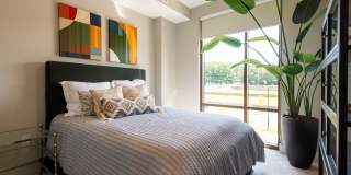 Carraway Village Gallery 20