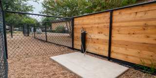 Palmera on 3009 Gallery 5