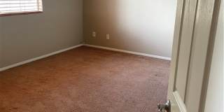 11456 Banyan Reef Street Gallery 10