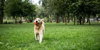 Villas on 76th Gallery 6