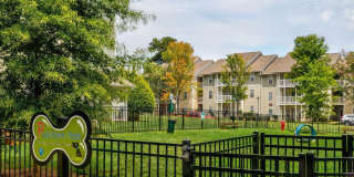 Links at Citiside Gallery 11