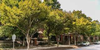 Highland Walk Gallery 30