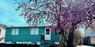 3 Bedroom with Storage Gallery 1