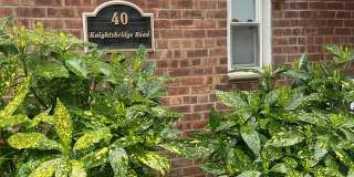 40 Knightsbridge Road unit: 3C Gallery 1