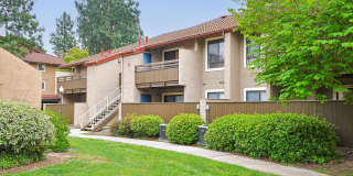 Citrus Place Gallery 63