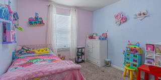 2831 Lavender Gallery 23