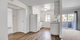 Sundance Village Gallery 50