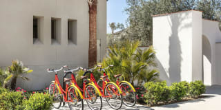 Harvest in Tracy Gallery 30