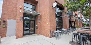 Olea Gallery 6