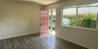 122 Blackburn Street - #1 Gallery 4