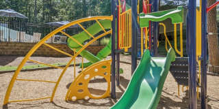 Elliot Roswell Gallery 42