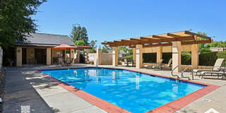 Southwestern Charm Meets Modern Comfort — 2BR/2BA Condo with Access to Shared Pool! Gallery 5