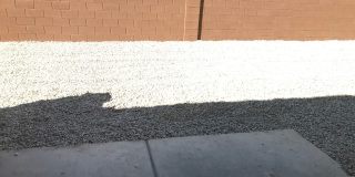 509 N 530 W #101 Gallery 12