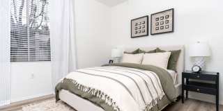 Camino Real Gallery 41