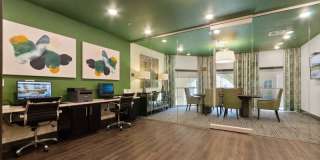 Terra Lago Gallery 25
