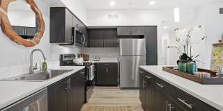 Palomar Station Gallery 4