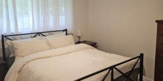 Beautifully Renovated 3 Bed/1 Bath Rambler in Lacey Available 6/01/26! Close to JBLM!!! Gallery 10