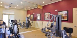 Costa Almadena Gallery 4