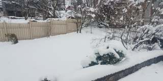 Charming Roslindale 2 Bd 1 Bath w Garage and Green Space Gallery 19