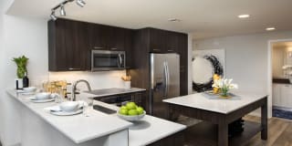 Olympus Harbour Island Gallery 11