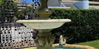 40 Almeria Ave Gallery 10