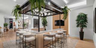 Soleste NoMi Beach Gallery 12