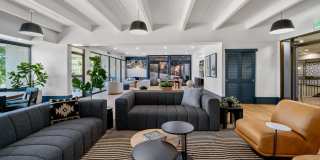 Vine at Panorama Gallery 30