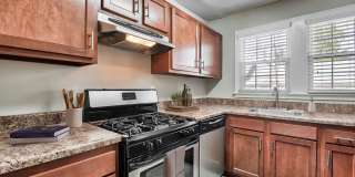 Georgian Woods Gallery 6