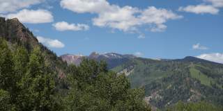 335 Vine Street unit: 335 Gallery 22