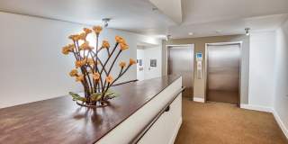 Angeline Gallery 22