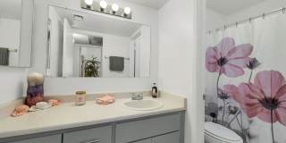 Arcadia Park Gallery 14