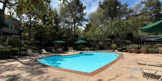 Comfortable 2BD/2BA Townhome in Carmel Mountain Ranch with Community Pool, Attached Garage & In-Unit Laundry Gallery 16