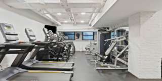 Mutual on Main Gallery 19