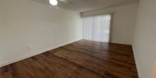 701 N Pine Island Road Gallery 15