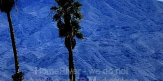 2860 Edgewood Dr Gallery 30