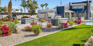 Rise Camelback Gallery 43