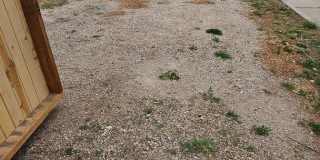 Lakewood Best Ever 3/2 Duplex All New Inside w/ Fenced Yard Gallery 106